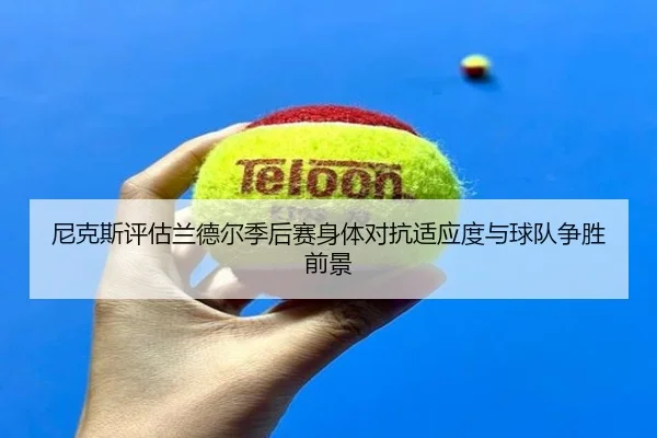 尼克斯评估兰德尔季后赛身体对抗适应度与球队争胜前景